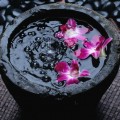 Sound Vibration
